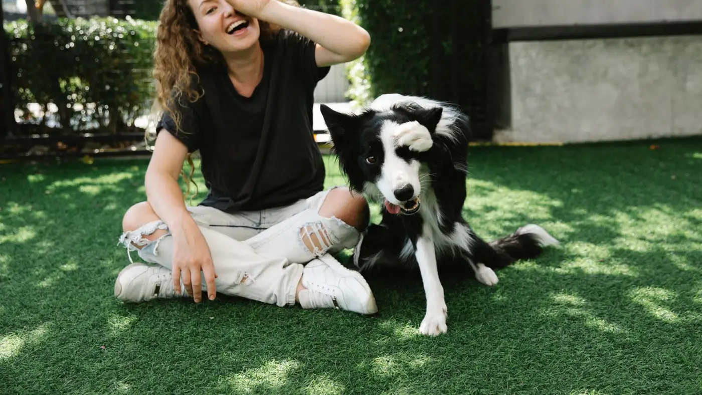 Tutora rindo sentada no gramado com seu border collie